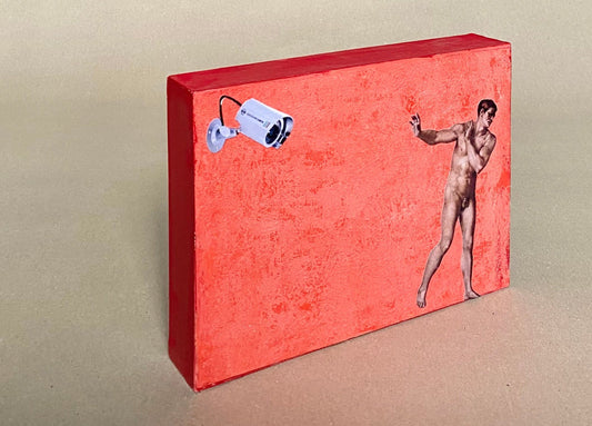 Greetings from Italy©, Big Brother, Collage