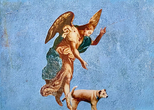Greetings from Italy©, Angels & dogs, Collage